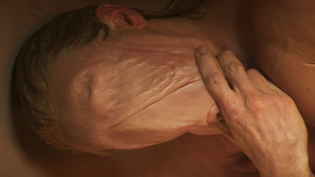 Image not available.