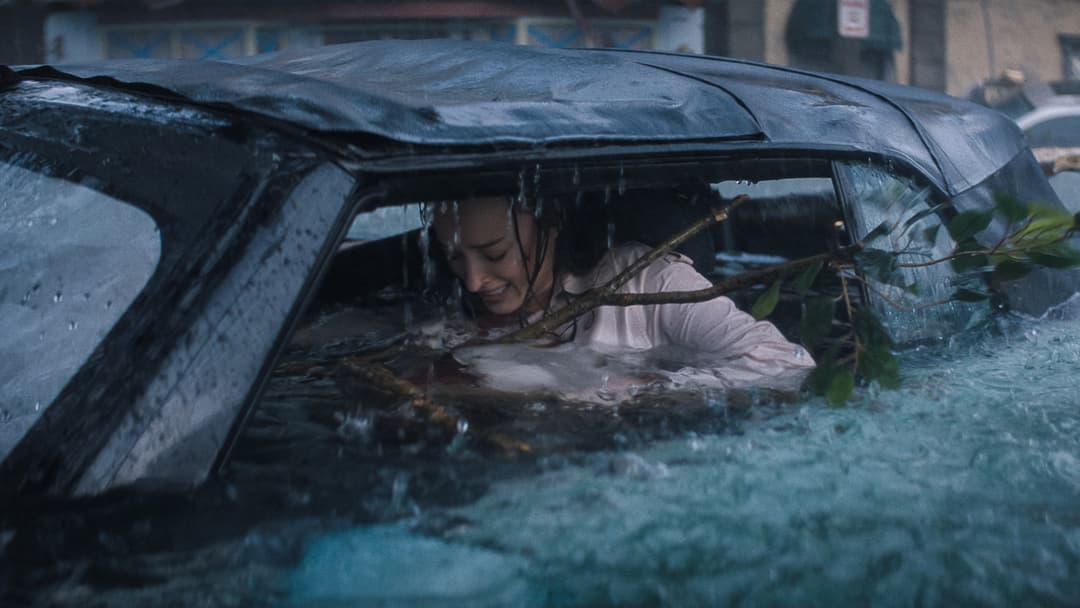 Image not available.