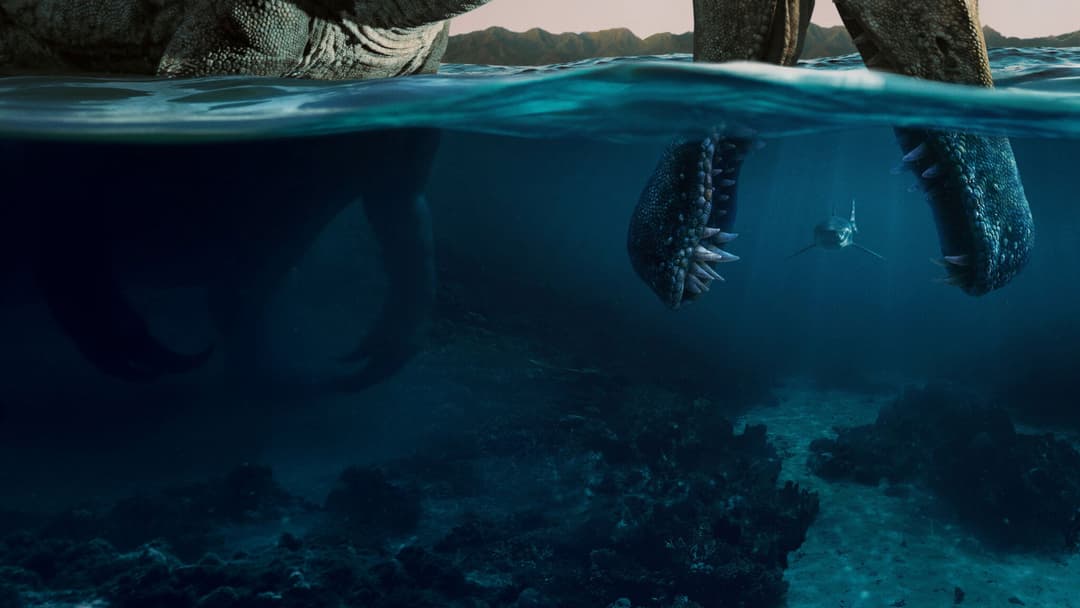 Image not available.