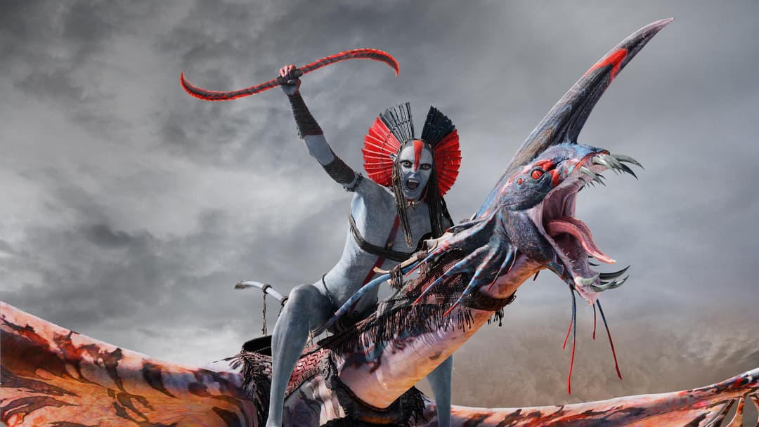 Image not available.