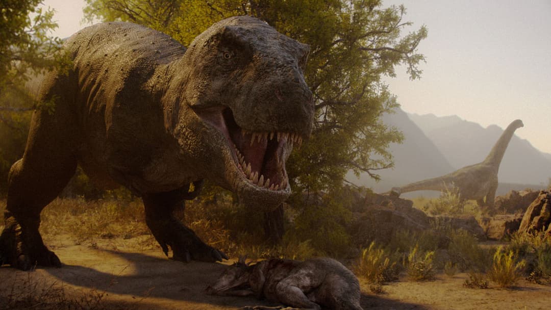 Image not available.